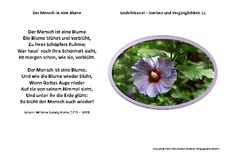 Der-Mensch-ist eine-Blume-Gleim.pdf